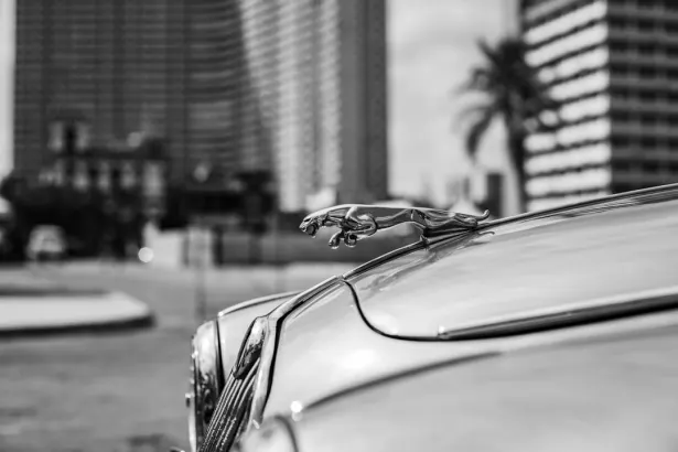 БетРегал Казино Android/iOS приложение